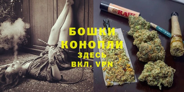 2c-b Лагань