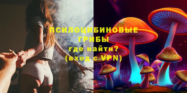 2c-b Лагань