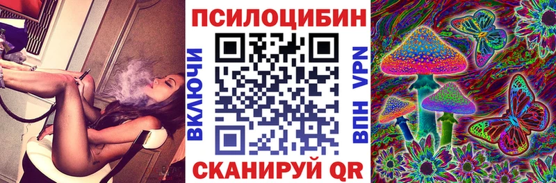 Купить закладки  Пущино  Галлюциногенные грибы мицелий 